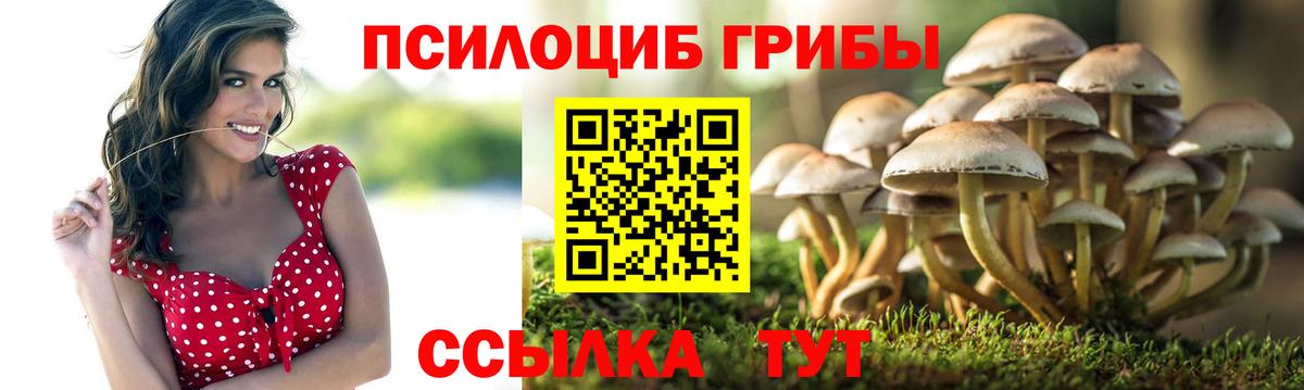 Галлюциногенные грибы Cubensis  Галлюциногенные грибы MAGIC MUSHROOMS  Брянск  Вход с VPN 